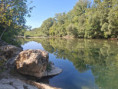 /album/27-septembre-les-berges-de-lherault/v-9-jpg/